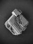 image (1)