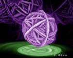 image (11)